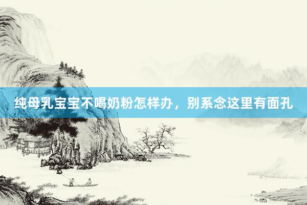 纯母乳宝宝不喝奶粉怎样办，别系念这里有面孔