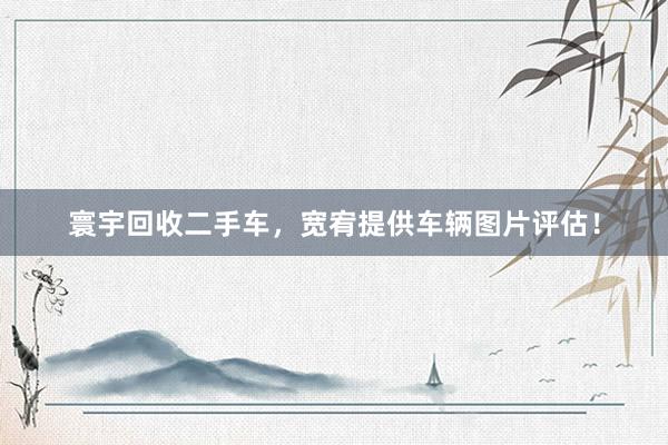 寰宇回收二手车，宽宥提供车辆图片评估！